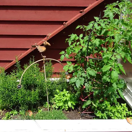 Lindenstrasse Apartament