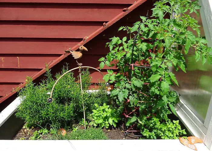 Lindenstrasse Apartamento