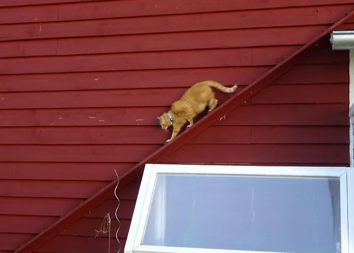 Lindenstrasse Apartamento